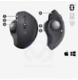 LOGITECH SOURIS Ergo S Advanced Wireless Trackball - GRAPHITE - 2.4GHZ/BT - N/A - (Do Not Use) EMEA28-935 - EMEA 910-007260