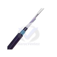 CABLE FO 12 BRINS SM OS2 9/125 ARMEE LINXCOM LXFOCASLTSTA12CSM2PE