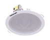 Haut-Parleur de Plafond Analogique 6 W DS-QAE0206G1-V