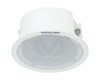 Haut-parleur Secondaire de Plafond 6W DS-QAZ0206G1-S