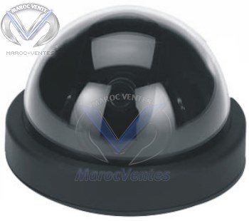 CAMERA COLOR 1/3" CCD 420 TV LINES 0.5 LUX SP-2163